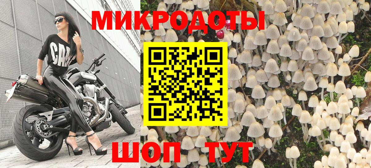 Звенигород  Галлюциногенные грибы Psilocybine cubensis  Вход с VPN  Галлюциногенные грибы Psilocybe 